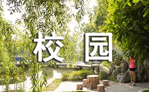 校园安全建议书(15篇)