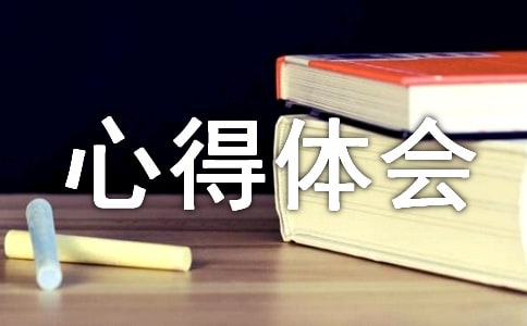 《安全出行从我做起》心得体会