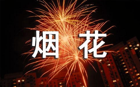 看烟花日记
