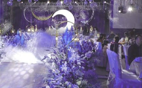 《水果宴会》大班教案