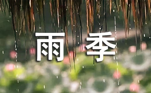 꼾˸