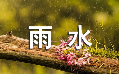 雨水节气小班教案