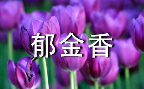 关于郁金香的唯美句子推荐