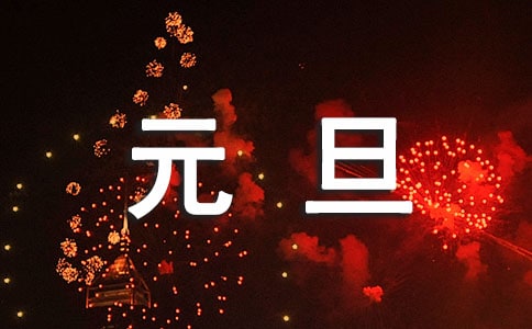 元旦小学作文锦集[8篇]