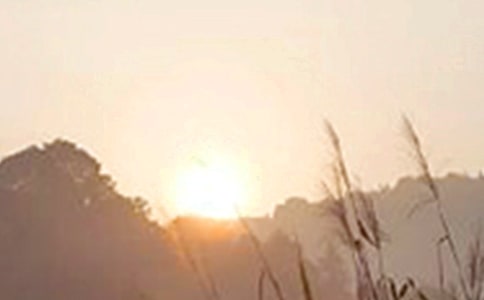 【推荐】正能量早安句子29条