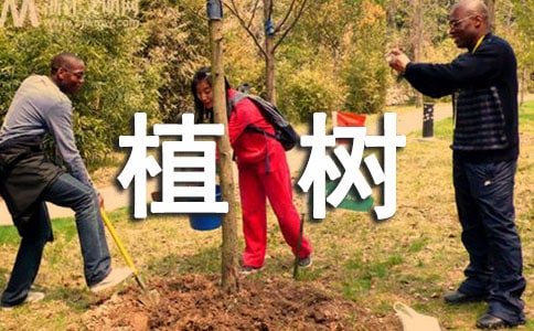 植树小学作文(精选15篇)