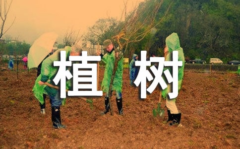 植树高中作文