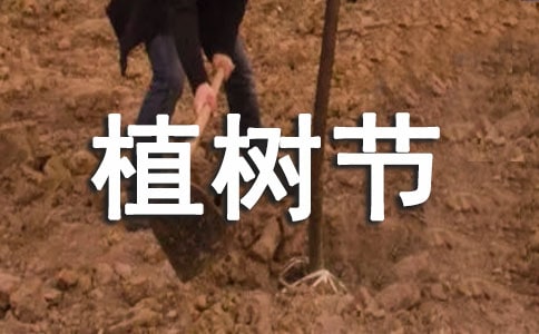 (热门)植树节中班教案