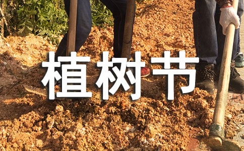 植树节的作文初中