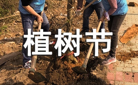 植树节优美文案