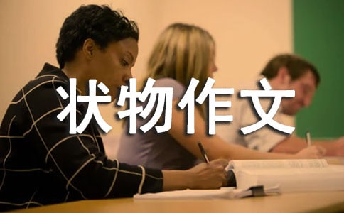 初中生状物作文评语