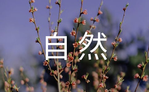 [集合]节约自然资源的建议书