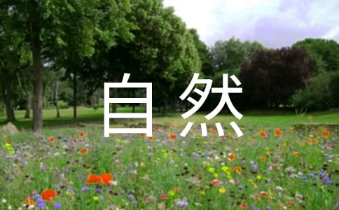 Ȼۺ