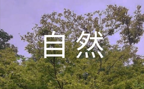 大自然拟人句11篇