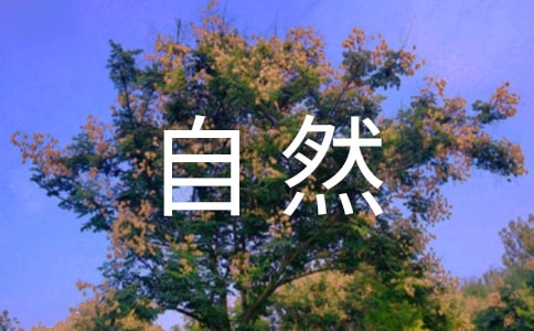 自然环境建议书