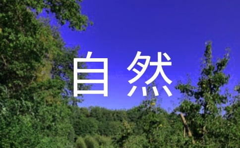 ĴȻСѧ