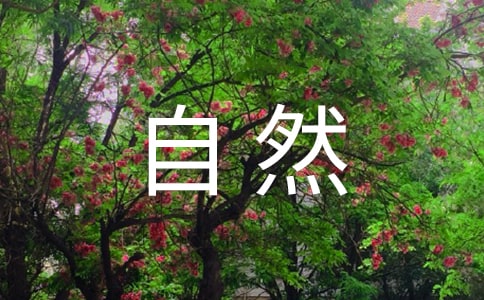 《大自然的语言》优秀教案