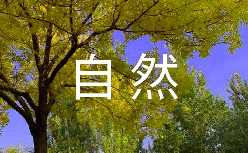 《自然界的水循环》教案